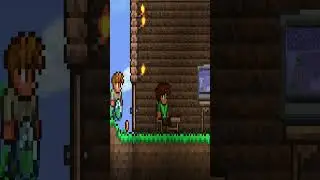 watching terraria tutorials wyd