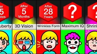 Comparison: Human Body At Different Ages