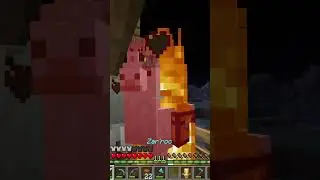 Day 11 of llama breeding... help i killed them all
