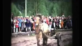 Glimt fra 17. mai 1968 i Lyngdal.wmv