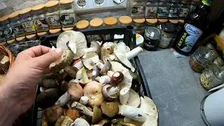 MUSHROOM CUTLETS from green RUSSA according to the recipe of a SUBSCRIBER. MUSHROOMS CUTLETS 2021