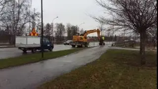 Trädflytt lind Eskilstuna