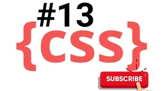 CSS Tutorial: CSS Box Model | Web Development Tutorials #32