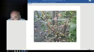 Железов Валерий  Вебинар 93 ч 1 Химера