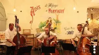 Concert Flash - Norris, Jurassic Bass