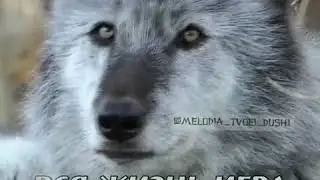 Не доверяй всем