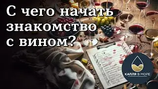 С чего начать изучение вина? Как научиться понимать вино?