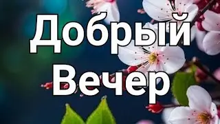Добрый Вечер