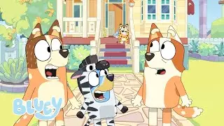 Lo mejor de Chilli y Bandit | Bluey Español Canal Oficial