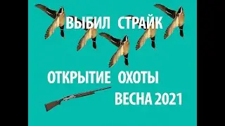 Охота на уток