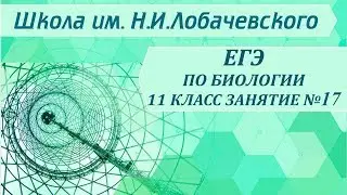 ЕГЭ по биологии 11 класс Занятие №17 Общая характеристика тканей растений  Класс