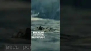 раздача в epic games