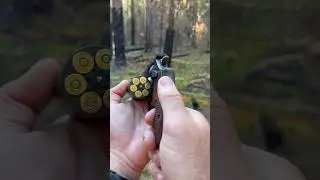 My favorite revolver