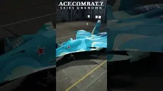 Sukhoi Su-33 Flanker☠🇷🇺