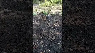 #кошечка Марго 31#августа
