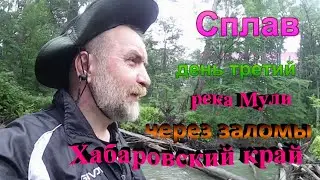 #3 Сплав по реке Мули Хабаровского края. Сквозь заломы. День третий.