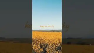 Song - July Singer - Lily Williams #july #music #song #lyrics #shorts #fyp #summer #flowers #bluesky