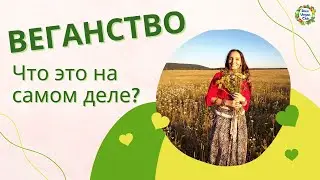 Что такое веганство? Кто такой веган? Как перейти на веганство? Проект DinaVeganClub