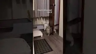 Подпишитесь добрые люди пожалуйста обнял 🫂 всех спасибо хорошей жизни вам ❤️🙌 