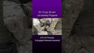 Группа захвата задержала человека за перевод денег на нужды украинской армии #shortsvideo