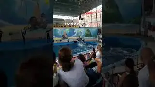 29 июля 2024 г.