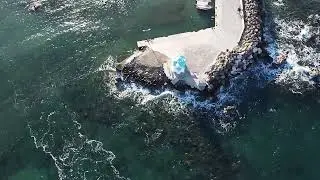 Η ΠΡΩΤΗ ΜΟΥ ΠΤΗΣΗ!
