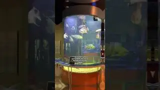 Cox Science Center and Aquarium #florida #usalife #travel #viralshorts
