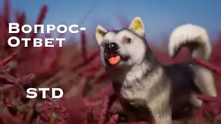 Вопрос-ответ шляйх