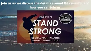 Announcing the global martial arts summit