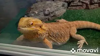 Выставка 