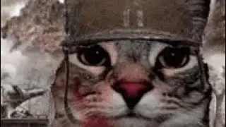 Nico's FunkBots - Gato (SLOWED)