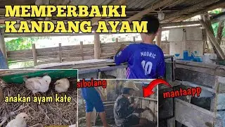 (MEMPERBAIKI DAN MEMBERSIHKAN KANDANG AYAM) Bersama adik @cahsembungofficial