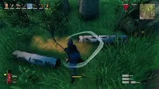 [Valheim] surprise