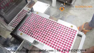 Automatic Capsule Loader | Capsule Orienter