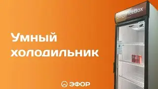 Умный холодильник Эфор IceBox