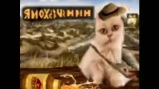 Шок! Кота жмыхнуло и он стал махавчанином!