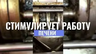 ОВСЯНОЕ МАСЛО
