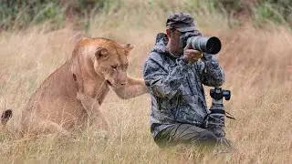 You Won’t See This Often! One In A Million Incidents With Animals That Got Caught On Camera