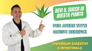 Bevi il succo di questa pianta per avere tutti questi benefici ( problemi digestivi e intestinali)