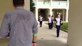 DYL - Monkey attacks unsuspecting homosapian! Footage courtesy of the Offbeat Girl.
