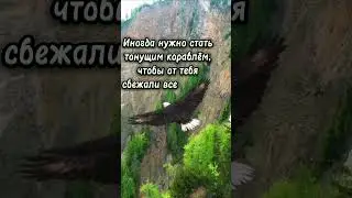 #мотивация