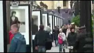 Жизнь в стеклах ветрин