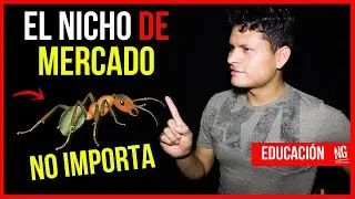 🤑Que Es Un NICHO DE MERCADO y Como Encontrarlo || Ejemplos REALES