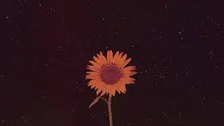 Joel Ansett - Already (Official Audio & Artwork)