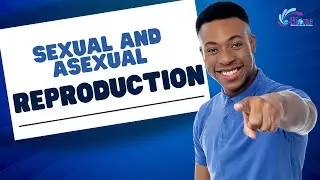 Sexual and Asexual Reproduction