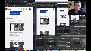 Hollow Knight OC Livestream