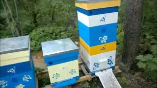 Практикую изоляцию матки.