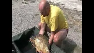 Медвежка Бодрячок