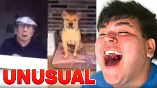 MORTEDOR reacciona a UNUSUAL MEMES 🐐🩷