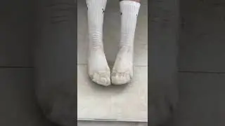 Amazing very dirty puma socks